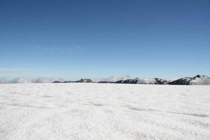 Nieuw-Zeeland 2011 - 1505